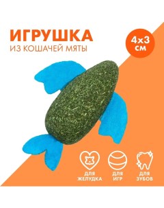 Игрушка для кошек «Рыба» из кошачьей мяты, 8 х 2.5 см Пушистое счастье