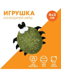 Игрушка для кошек «Жучок» из кошачьей мяты, 4 х 3.5 см Пушистое счастье