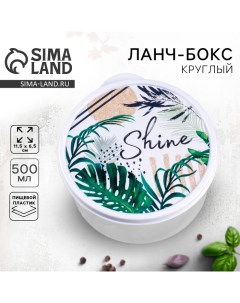 Ланч бокс Shine 500 мл Foodvibes