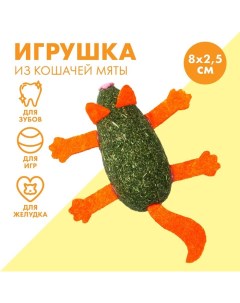 Игрушка для кошек «Кот» из кошачьей мяты, 8 х 2.5 см Пушистое счастье