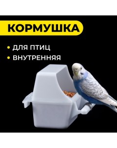 Кормушка для птиц внутренняя, 7,5 х 5,5 х 9 см Пижон