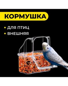 Кормушка для птиц внешняя, 6,7 х 6,2 х 8 см Пижон