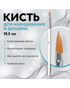 Кисть для наращивания и дизайна ногтей, лепесток, 19.5 см, ворс 5?18 мм, в пластиковом футляре, бела Qf