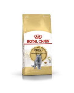 Сухой корм RC British Shorthair для британских кошек 4 кг Royal canin