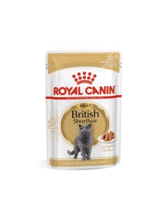 Влажный корм RC для британских кошек соус пауч 85 г Royal canin