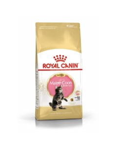 Сухой корм RC Kitten Maine Coon для котят крупных пород 10 кг Royal canin