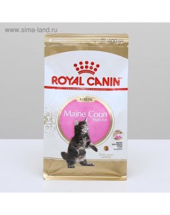 Сухой корм RC Kitten Maine Coon для котят крупных пород 400 г Royal canin