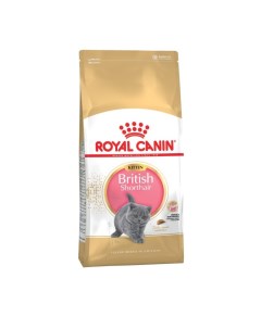 Сухой корм RC Kitten British Shorthair для британских котят 2 кг Royal canin