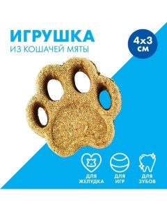 Игрушка для кошек «Лапа» из кошачьей мяты, 5,5 х 1,5 см Пушистое счастье