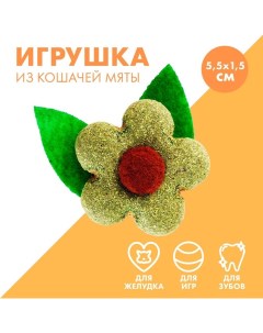 Игрушка для кошек «Цветок» из кошачьей мяты, 5,5 х 1,5 см Пушистое счастье