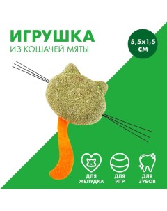 Игрушка для кошек «Кошачья мордочка» из кошачьей мяты, 5,5 х 1,5 см Пушистое счастье