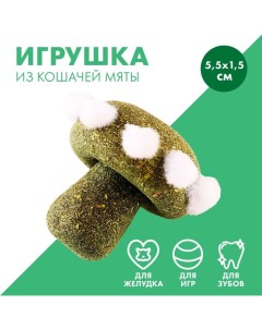 Игрушка для кошек «Гриб» из кошачьей мяты, 5,5 х 1,5 см Пушистое счастье