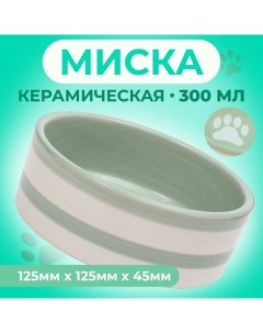 Миска керамическая "След" 300 мл 12,5 x 4,5 cм, серо-зелёная Пижон