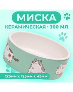 Миска керамическая "Котяры" 300 мл 12,5 x 4,5 cм, бело-зелёная Пижон