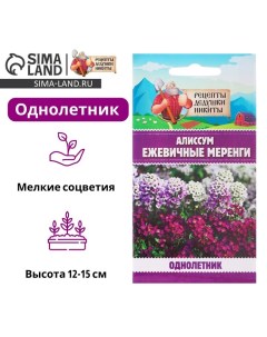 Семена цветов Алиссум "Ежевичные меренги", 5 шт. Рецепты дедушки никиты