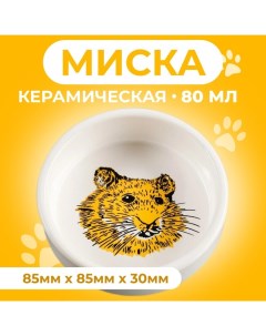 Миска керамическая для грызунов "Сытая мордочка" 80 мл 8,5 х 3 см Пижон