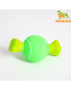 Игрушка пищащая "Теннисная кость" для собак, 10 x 5 см, зелёная Пижон