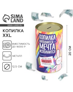 Копилка XXL «На исполнение мечты», 20 х 12,5 см Сима-ленд