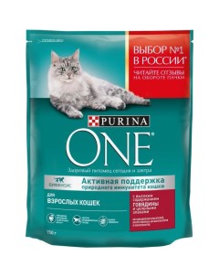 Сухой корм ONE для кошек говядина с цельными злаками 750 г Purina