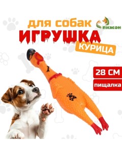 Игрушка пищащая "Курица пират" для собак, 28 см, жёлтая Пижон