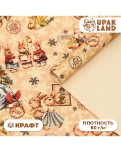 Бумага крафт упаковочная "Уютное настроение", 50 x 70 см Upak land