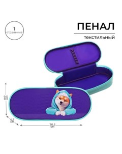 Пенал-футляр 95 х 205 х 45 мм, мягкий, текстильный,, ПМК 27-20 резинка на клапане, "Сиба" Calligrata