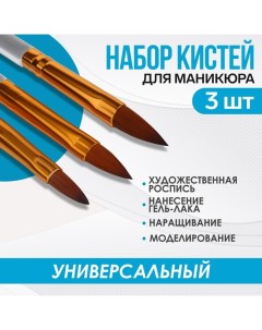 Набор кистей для наращивания и дизайна ногтей, лепесток, 3 шт, 17 см, прозрачный, золотистый Queen fair