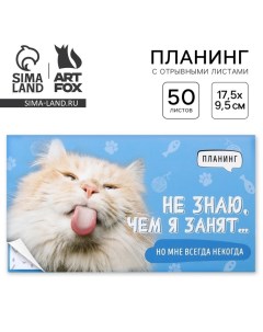 Планинг с отрывными листами Кот мягкая обложка 50 листов Artfox