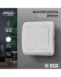 Выключатель проходной Орион 10 А 1 клавиша скрытый белый Luazon lighting