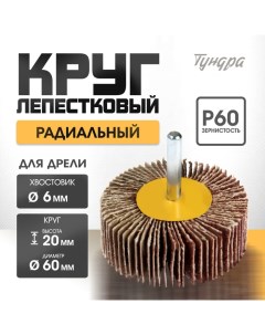 Круг лепестковый радиальный, 60 х 20 х 6 мм, Р60 Tundra