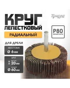 Круг лепестковый радиальный, 60 х 20 х 6 мм, Р80 Tundra