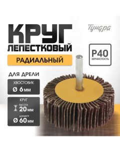 Круг лепестковый радиальный, 60 х 20 х 6 мм, Р40 Tundra