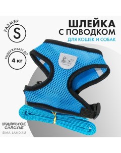 Шлейка дышащая с поводком и светоотражающей нашивкой, S, ОШ 27, ОГ 30-38, синяя Пушистое счастье