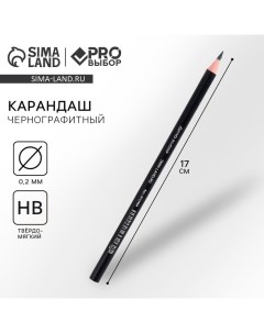 Карандаш простой чернографитный НВ PROвыбор Черный неон Pro выбор