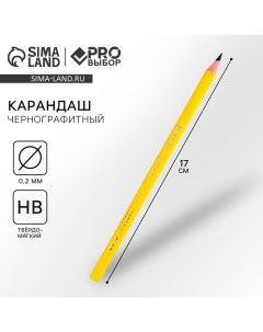 Карандаш простой чернографитный НВ PROвыбор Градиент Pro выбор