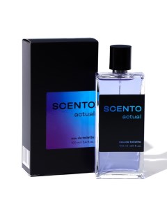 Туалетная вода мужская Dilis Scento Actual, 100 мл Dilis parfum