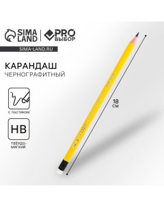 Карандаш простой чернографитный НВ с ластиком PROвыбор Градиент Pro выбор