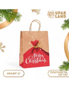 Пакет бумажный подарочный новогодний крафт "Merry Cristmas", 27 х 21 х 11 см. Upak land