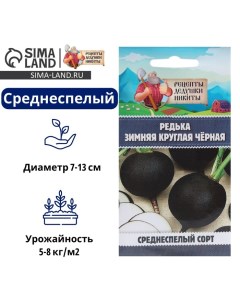 Семена Редька "Зимняя круглая чёрная", среднеспелая, 1 г Рецепты дедушки никиты