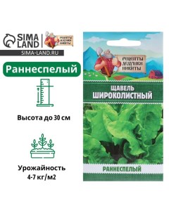 Семена Щавель "Широколистный", 1 г Рецепты дедушки никиты