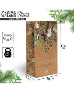 Пакет без ручек «Present for you», 10 х 19.3 х 7 см Дарите счастье