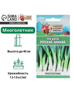 Семена Лук-батун "Русский зимний", 0,5 г Рецепты дедушки никиты