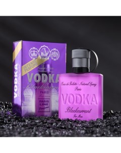 Туалетная вода мужская Blackcurrant Intense PerfumeD, 100 мл Vodka