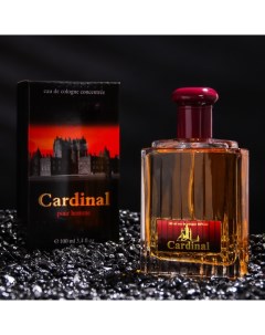 Одеколон мужской Cardinal, 100 мл Parfums eternel