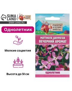 Семена цветов Маттиола двурогая "Вечерний аромат", смесь, 0,3 г Рецепты дедушки никиты