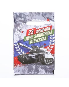 Пакет "День Защитника Отечества", полиэтиленовый с вырубной ручкой, 20х30 см, 30 мкм Upak land