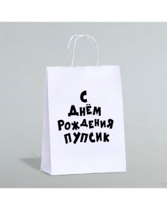 Пакет подарочный с приколами, крафт «Пупсик», белый, 24 х 10,5 х 32 см, 1 шт Upak land