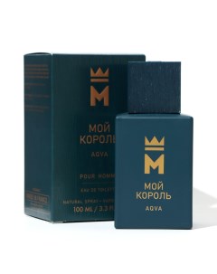 Туалетная вода мужская Мой Король Aqua, 100 мл(по мотивам Aqua Pour Homme (Bvlgari) Vinci