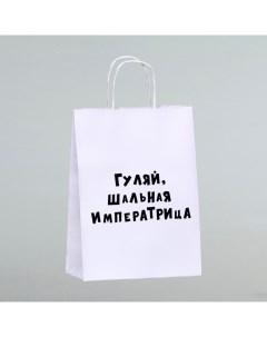 Пакет подарочный «Гуляй шальная императрица», 24 х 10,5 х 32 см, 1 шт Upak land