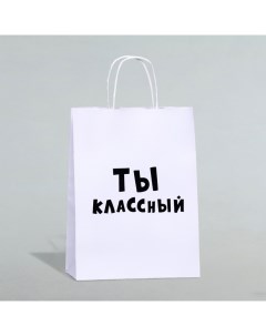 Пакет подарочный «Ты классный», 24 х 10,5 х 32 см, 1 шт Upak land